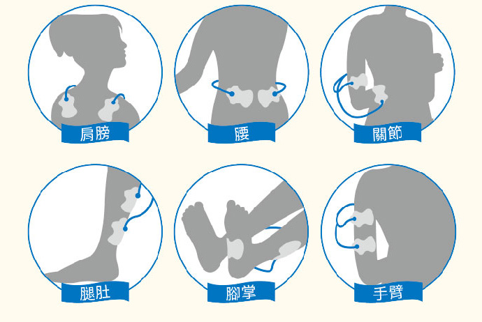 肩膀 腰 關節 腿肚 腳掌 手臂